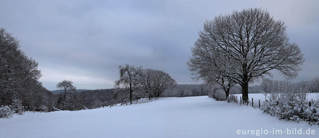 Detailansicht von Winterlandschaft westlich von Schmidt