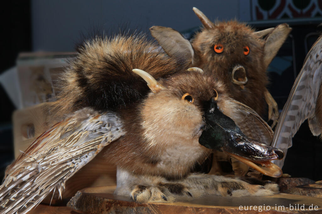 Detailansicht von Wolpertinger