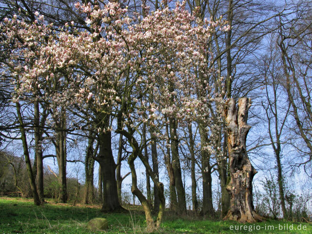 Fotostory Müschpark / Aachen