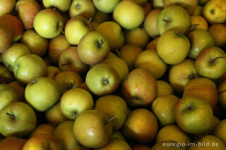 Apfelsorte Rubinette