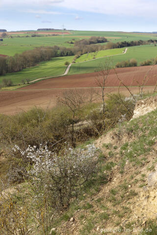 Auf dem Bürvenicher Berg 