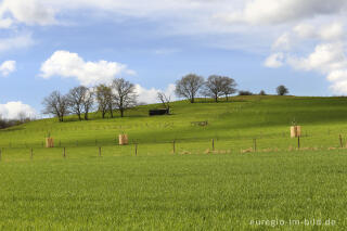 Auf dem Bürvenicher Berg 