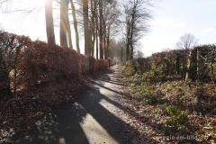 Auf dem Kieselbacherweg westlich von Imgenbroich