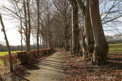Auf dem Kieselbacherweg westlich von Imgenbroich