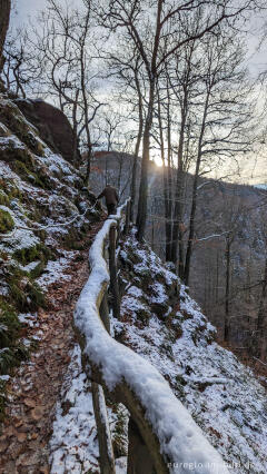 Auf dem "Schöpfungspfad" im Nationalpark Eifel