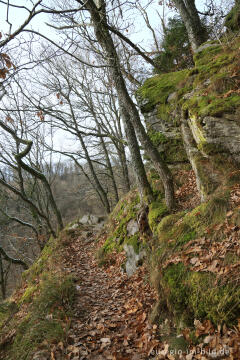 Auf dem "Schöpfungspfad" im Nationalpark Eifel