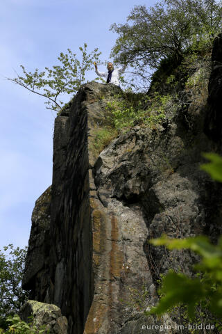 Auf dem Stenzelberg im Siebengebirge