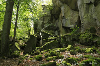 Auf dem Stenzelberg im Siebengebirge