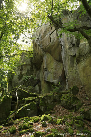 Auf dem Stenzelberg im Siebengebirge