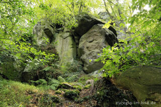 Auf dem Stenzelberg im Siebengebirge