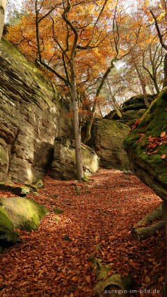 Auf dem Wanderweg B2 im Müllerthal, Luxemburg