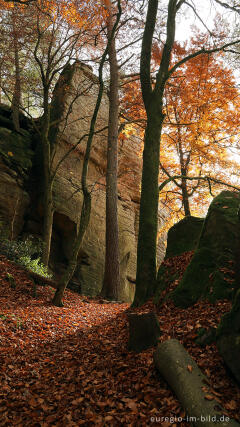 Auf dem Wanderweg B2 im Müllerthal, Luxemburg