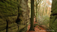 Auf dem Wanderweg B2 im Müllerthal, Luxemburg