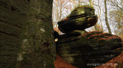 Auf dem Wanderweg B2 im Müllerthal, Luxemburg