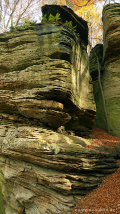 Auf dem Wanderweg B2 im Müllerthal, Luxemburg