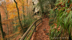 Auf dem Wanderweg B2 im Müllerthal, Luxemburg