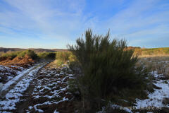 Auf der Dreiborner Hochfläche