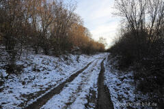 Auf der Dreiborner Hochfläche