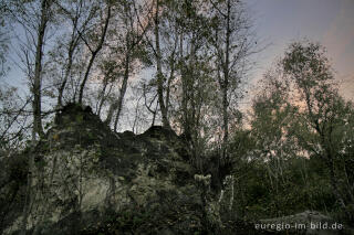 Auf der weißen Kalkhalde, Wurmtal bei Würselen