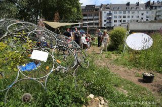 Der Gemeinschaftsgarten HirschGrün in Aachen