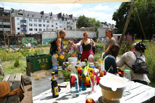 Der Gemeinschaftsgarten HirschGrün in Aachen