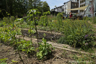 Der Gemeinschaftsgarten HirschGrün in Aachen