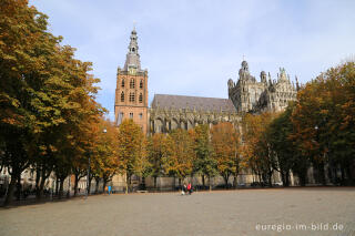 Die St.-Johannes-Kathedrale (Sint Janskathedraal) in Hertogenbosch
