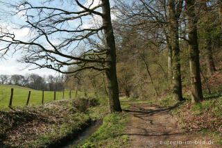 Frühling am Hitfelder Bach
