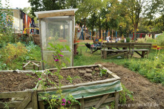 Gemeinschaftsgarten HirschGrün (Suermondt-Park), Aachen 2016