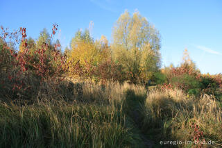 Herbststimmung beim Blausteinsee, Eschweiler