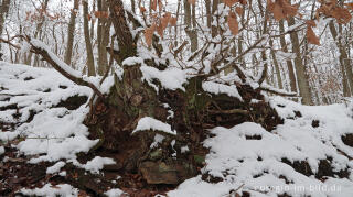 Hetzinger Wald, Odenbachtal