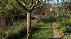 Im Garten von Detlef Röper, Aachen