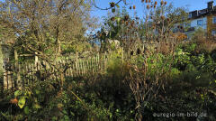 Im Garten von Detlef Röper, Aachen