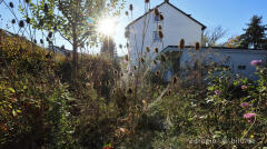 Im Garten von Detlef Röper, Aachen