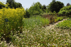 Im Schlossgarten von Oud-Valkenburg