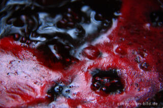 Marmelade kochen
