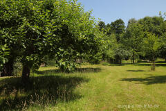 Obstgarten im Schlossgarten von Oud-Valkenburg