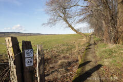 Wanderweg auf der Panzersperre westlich von Imgenbroich