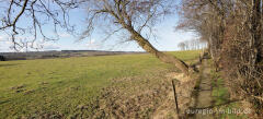 Wanderweg auf der Panzersperre westlich von Imgenbroich