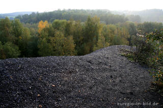 Schwarze Bergehalde im Wurmtal bei Würselen