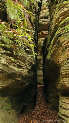 Sieweschlueff, die sieben Schluchten, Wanderweg B2 im Müllerthal
