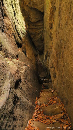 Sieweschlueff, die sieben Schluchten, Wanderweg B2 im Müllerthal