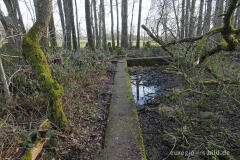 Wanderweg auf der Panzersperre westlich von Imgenbroich