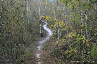 Weg auf der weißen Kalkhalde, Wurmtal bei Würselen